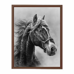 Lovely Horse  balck & white Canvas Painting