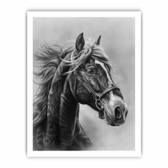 Lovely Horse  balck & white Canvas Painting