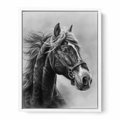 Lovely Horse  balck & white Canvas Painting