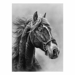 Lovely Horse  balck & white Canvas Painting