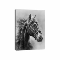 Lovely Horse  balck & white Canvas Painting