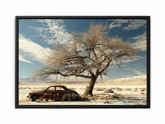 Desert Car Parking  Canvas Art Print