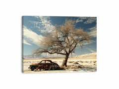 Desert Car Parking  Canvas Art Print