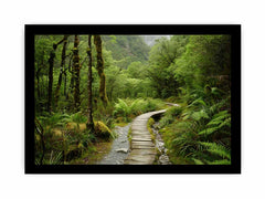 Morning  Forest Track  Canvas Art Print