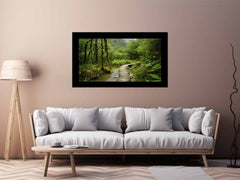 Morning  Forest Track  Canvas Art Print