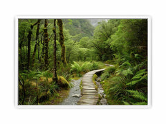 Morning  Forest Track  Canvas Art Print