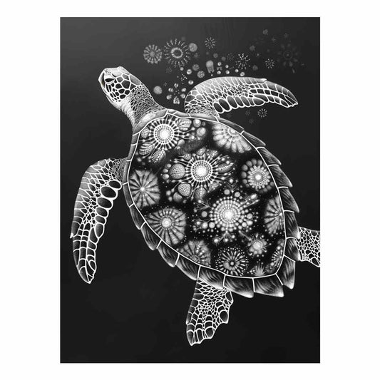 Turtle Black and white  Canvas Art Print
