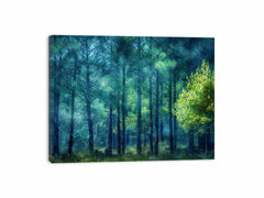 Pine Forest Canvas Art Print