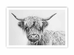 Scotland Highland Cow Canvas Art Print