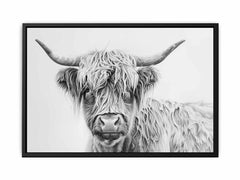 Scotland Highland Cow Canvas Art Print