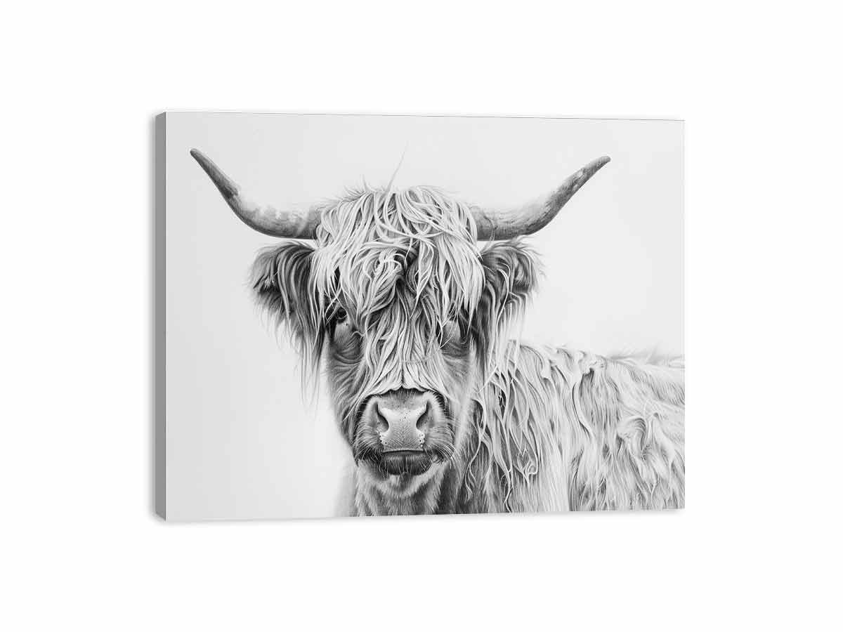 Scotland Highland Cow Canvas Art Print