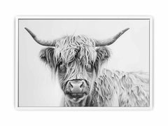 Scotland Highland Cow Canvas Art Print
