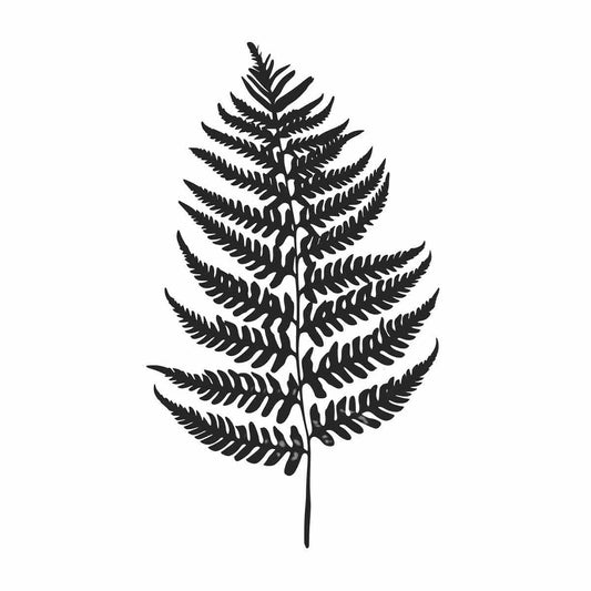 Fern Leaf  black & white Canvas Art Print