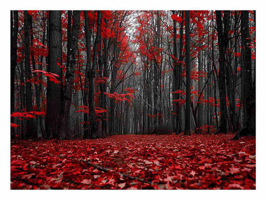 Red Forest  Tress Art Canvas Art Print
