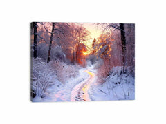 Snow River Canvas Art Print