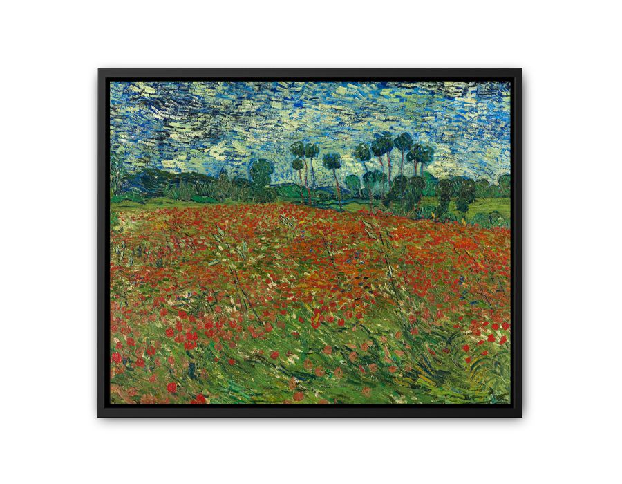 Poppy Field By Vincent Van Gogh Canvas Print