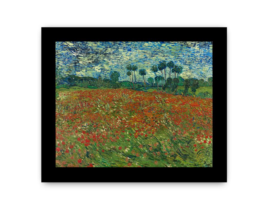 Poppy Field By Vincent Van Gogh Framed Print